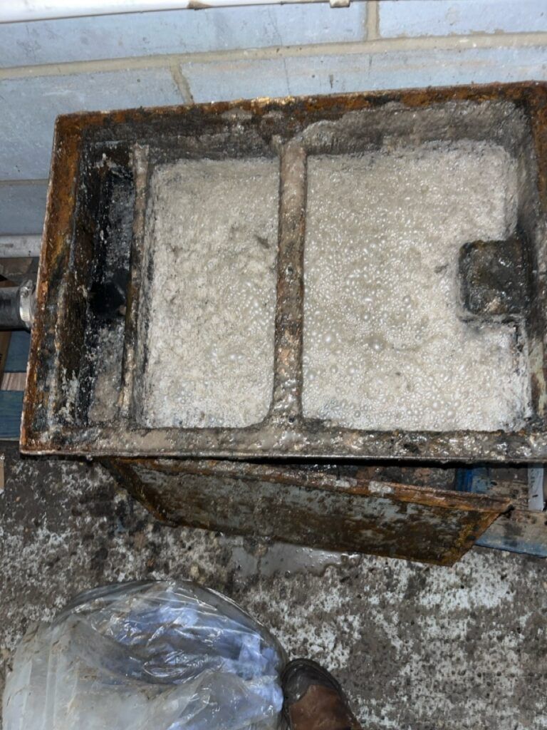 During Cleaning Of Greasetrap